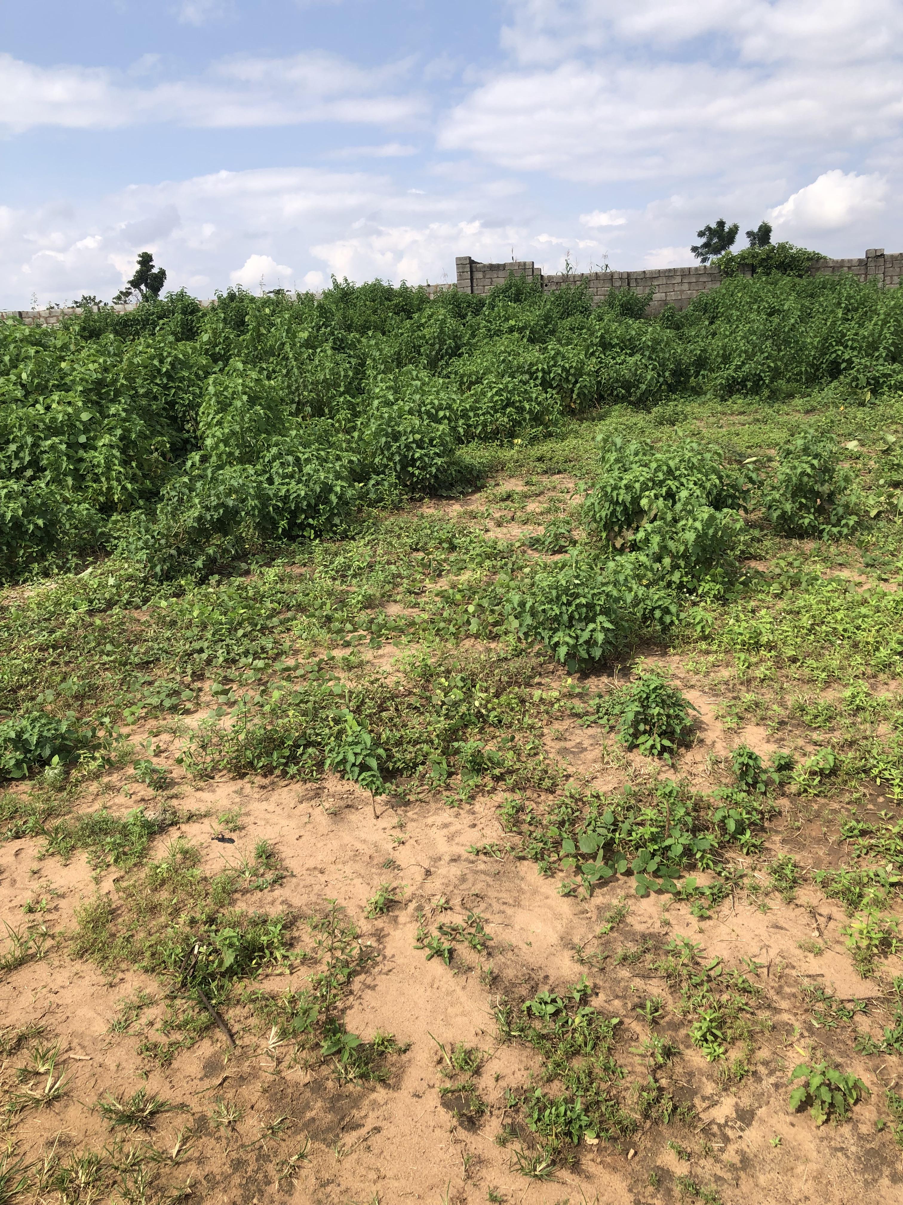 Bare land for sale