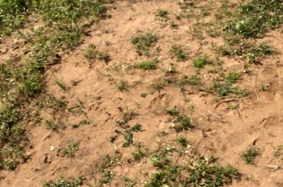Bare land for sale