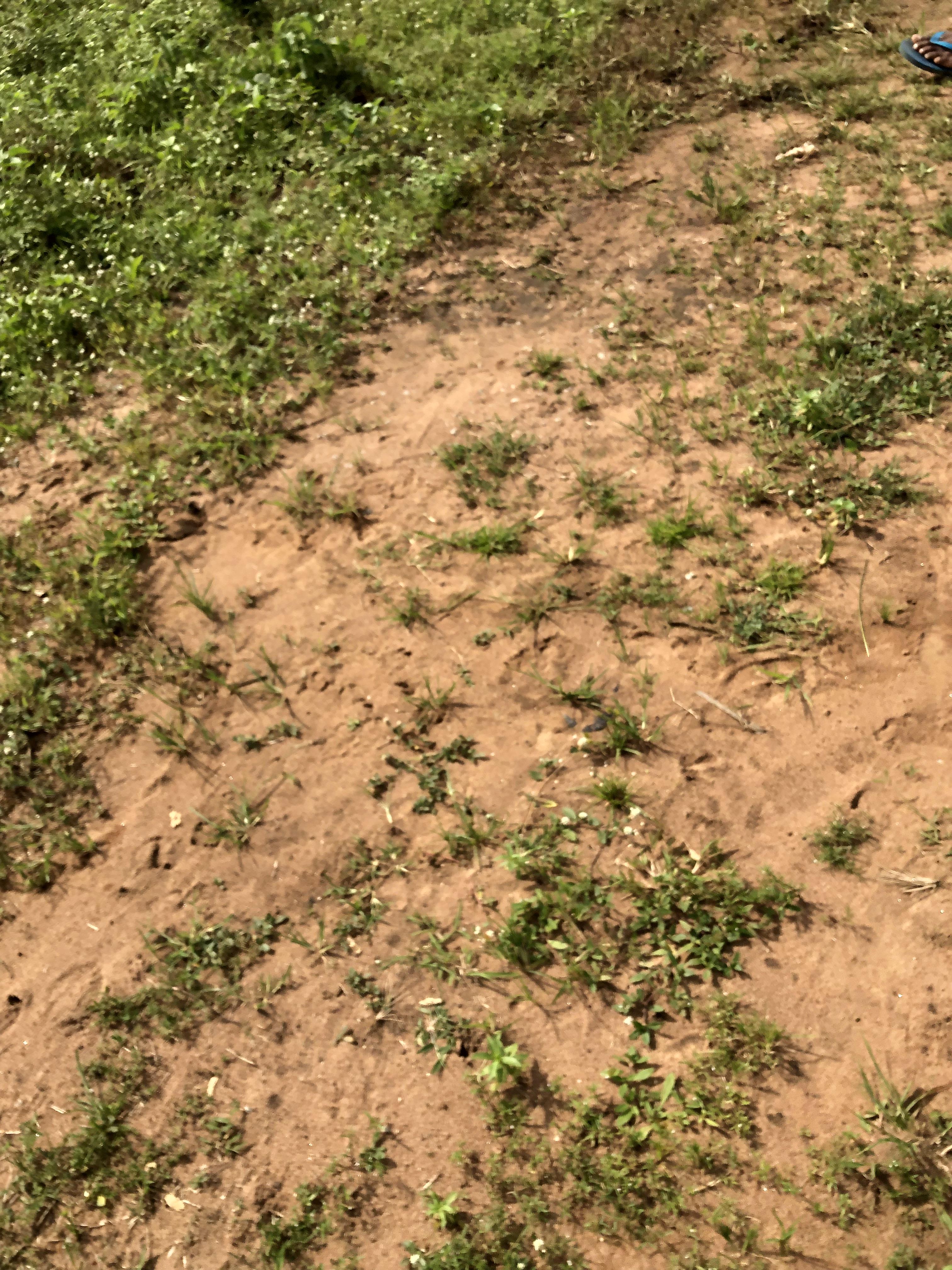 Bare land for sale